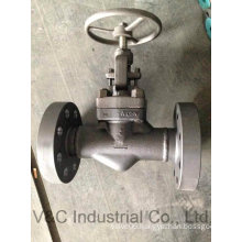 ANSI Flanged Stainless Steel Globe Valve with Operation